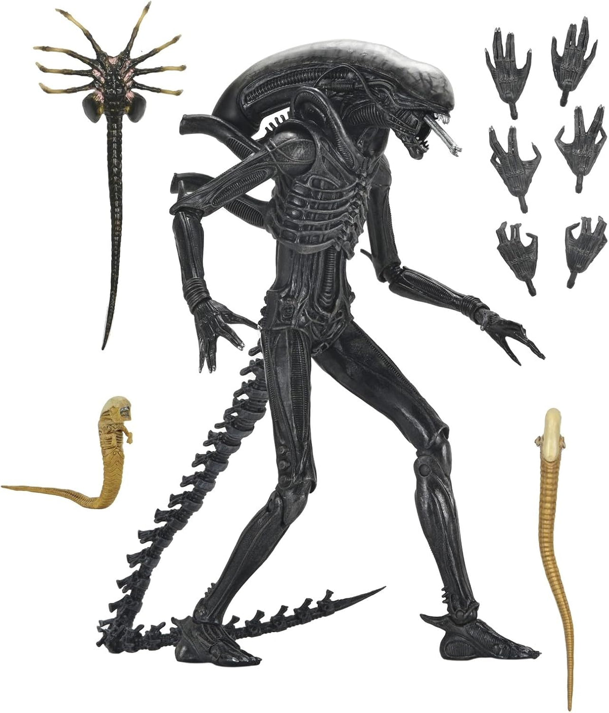 Alien Romulus 7 Inch Action Figure Ultimate - Xenomorph XX121