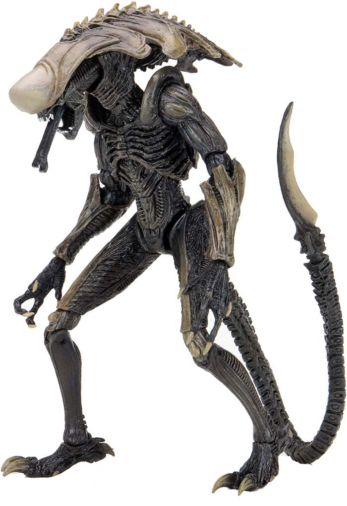 Aliens vs Predator Game Movie Deco 9 Inch Action Figure Ultimate - Chrysalis Alien