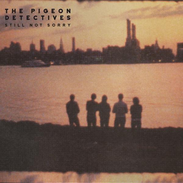 Still Not Sorry - The Pigeon Detectives [CD]
