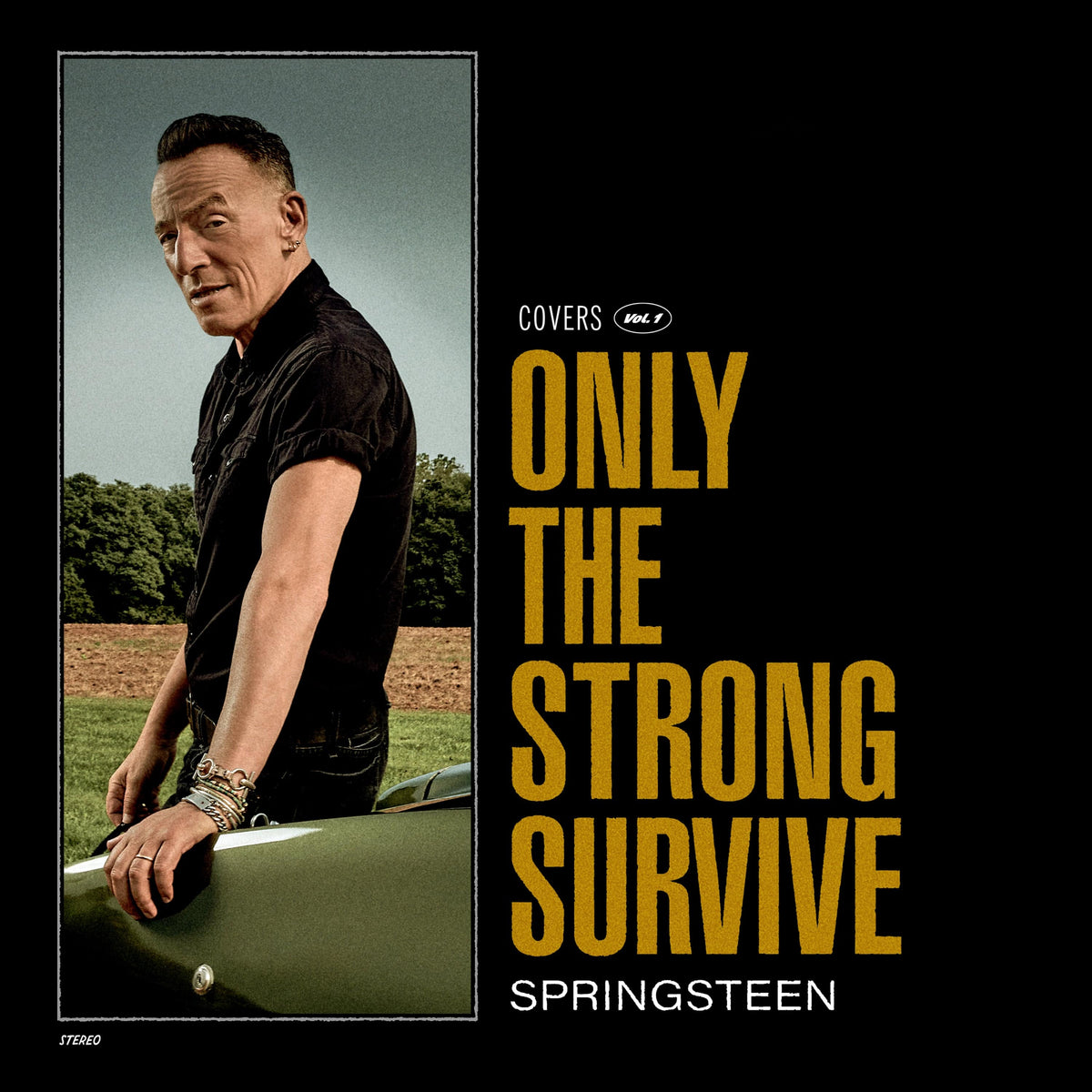Only The Strong Survive - Bruce Springsteen [CD]