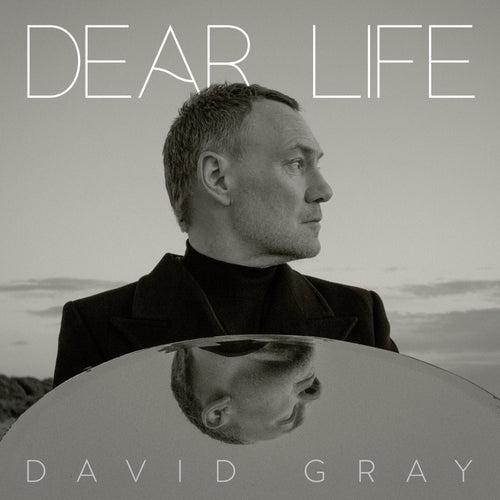 Dear Life - David Gray [CD]