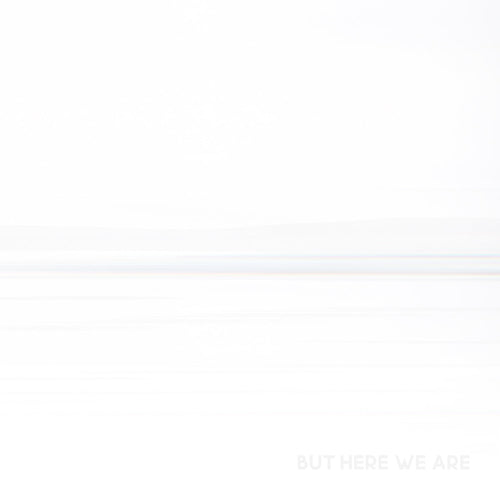 But Here We Are - Foo Fighters [CD]