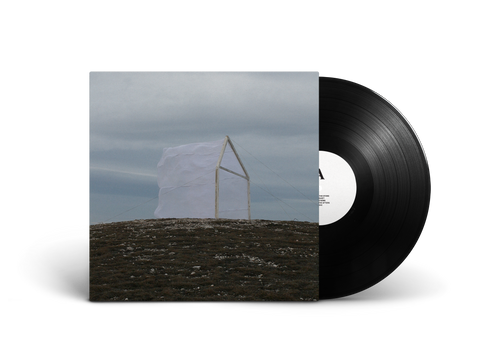 Carving The Stone - For Those I Love [VINYL]