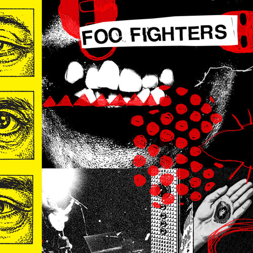 Your Favorite Toy - Foo Fighters [VINYL]