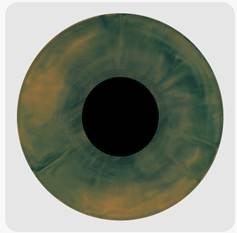 Hades (Forest Abyss Edition) - Melanie Martinez [Colour Vinyl]