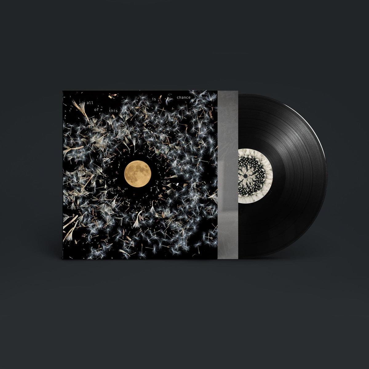 All of This Is Chance:   - Lisa O'Neill [VINYL]