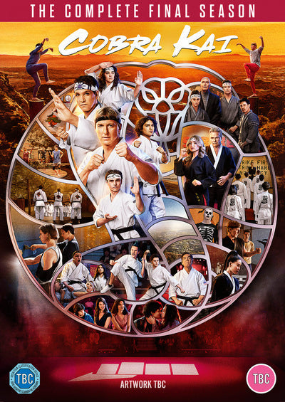 Cobra Kai: Season 6 - Ralph Macchio [DVD]