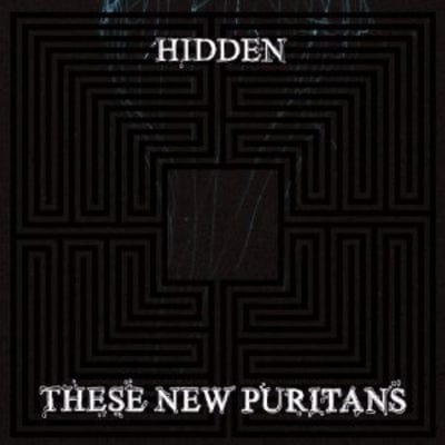 Hidden - These New Puritans [VINYL]