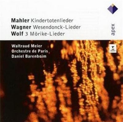 Mahler: Kindertotenlieder, Wagner: Wesendonck-Lieder - Gustav Mahler [CD]