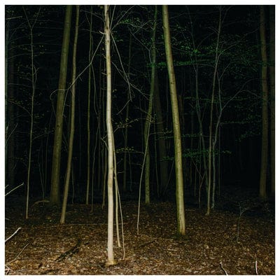 Fixed Rope II - Express Rising [VINYL Limited Edition]