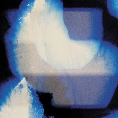 Homes:   - Shida Shahabi [VINYL]
