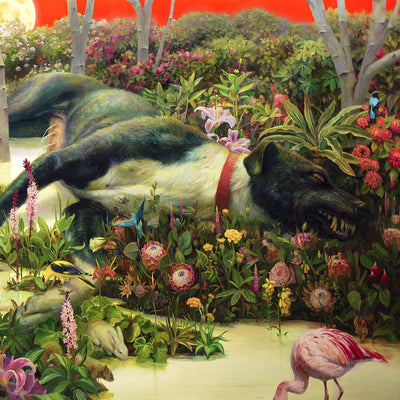 Feral Roots - Rival Sons [CD]