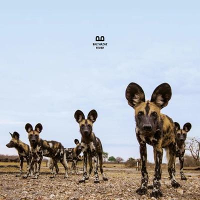 Fever - Balthazar [CD]