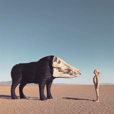 Dream Hunting in the Valley of the In-between:   - Man Man [VINYL]