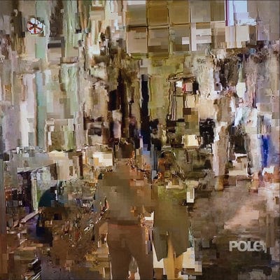 Fading - Pole [VINYL]