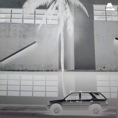 Karma & Desire:   - Actress [VINYL]