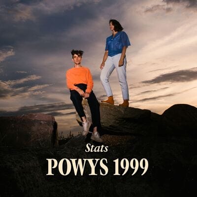 Powys 1999:   - Stats [VINYL]