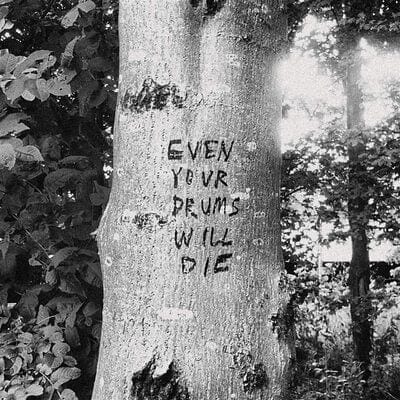 Even Your Drums Will Die: Live at Pendarvis Farm 2011 - Richard Swift [VINYL]