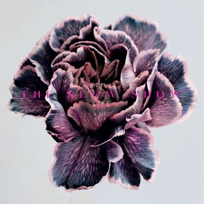 Still Life:   - The Slow Show [CD]