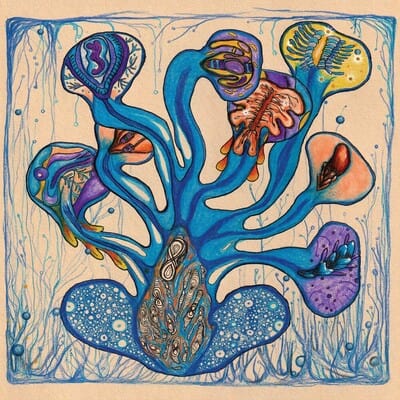 Fleuves De L'Âme:   - Houeida Hedfi [VINYL]