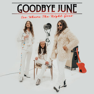 See Where the Night Goes - Goodbye June [VINYL]