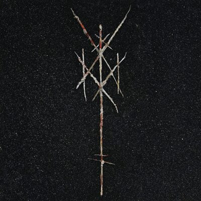 There's Always Blood at the End of the Road:   - Wiegedood [CD]