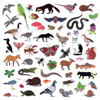 Island of Noise:   - Modern Nature [VINYL]
