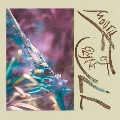 Mouth Full of Glass - Macie Stewart [VINYL Limited Edition]
