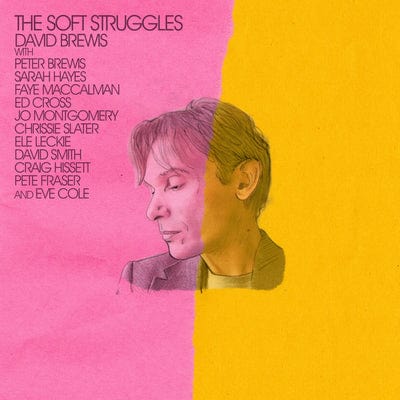 The Soft Struggles - David Brewis [CD]