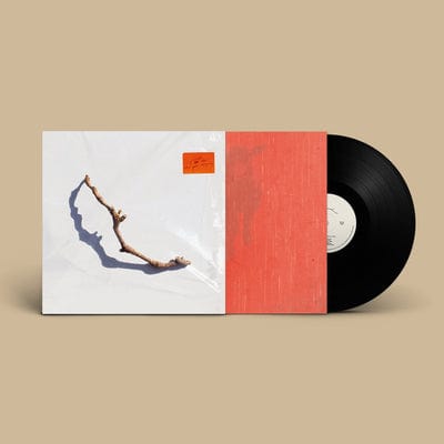 I Inside the Old Year Dying - PJ Harvey [VINYL]