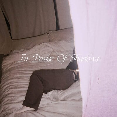 In Praise of Shadows - Puma Blue [VINYL]