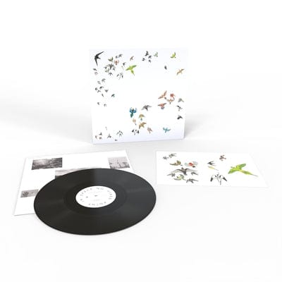 No Fixed Point in Space - Modern Nature [VINYL]