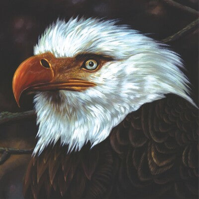 The Hawk Is Howling - Mogwai [VINYL Limited Edition]