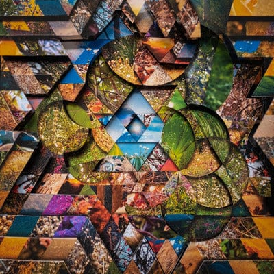 Les Jardins Mystiques- Volume 1 - Miguel Atwood-Ferguson [VINYL]