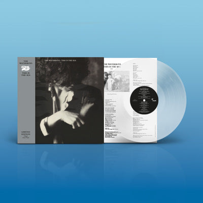 This Is the Sea - The Waterboys [VINYL]