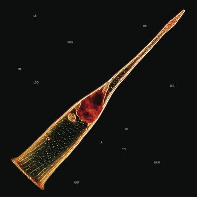 Melodies of Atonement - Leprous [VINYL Limited Edition]
