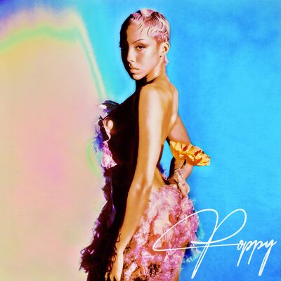 Poppy - Poppy Ajudha [VINYL]