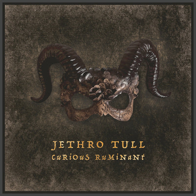 Curious Ruminant - Jethro Tull [CD]