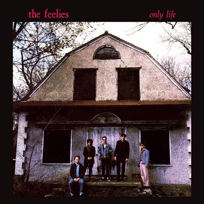Only Life - The Feelies [VINYL]