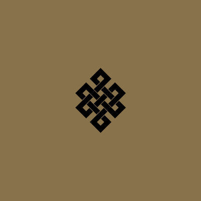 Live at the Volksbühne, Berlin, New Year's Eve, 2005 - Throbbing Gristle [VINYL]