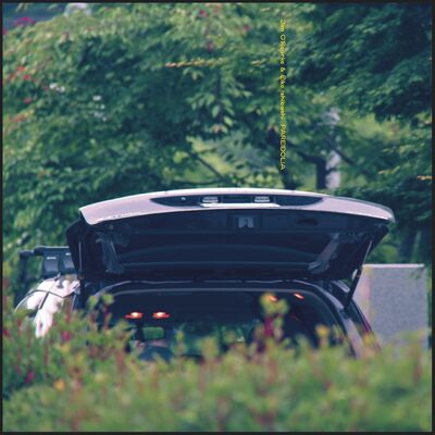 Pareidolia - Eiko Ishibashi & Jim O'Rourke [VINYL]