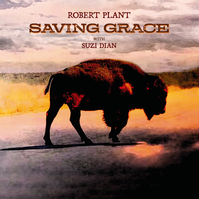 Saving Grace - Robert Plant [VINYL]