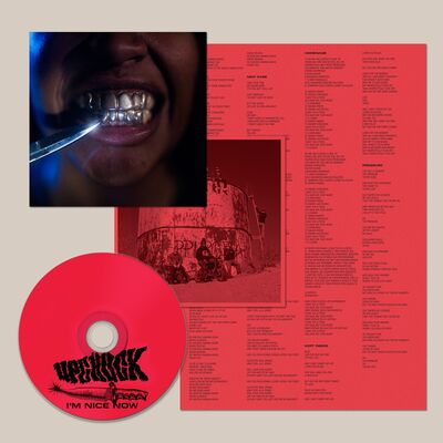 I'm Nice Now - Upchuck [CD]