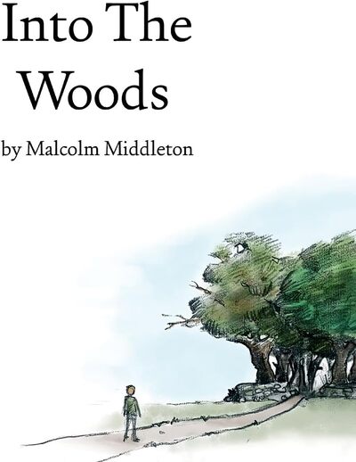 Into the Woods - Malcolm Middleton [VINYL]