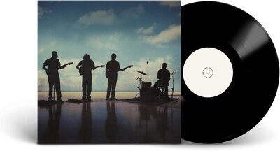 The Fearless Flyers V - The Fearless Flyers [VINYL]