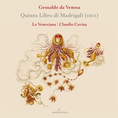 Gesualdo Da Venosa: Quinto Libro Di Madrigali (1611) - Carlo Gesualdo [CD]