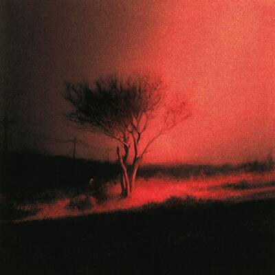 Piss in the Wind - Joji [VINYL]