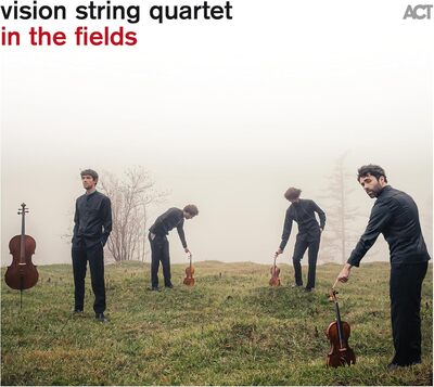 Vision String Quartet: In the Fields - Vision String Quartet [VINYL]