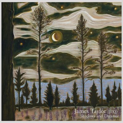 Shadows and Dreams - James Taylor [VINYL]