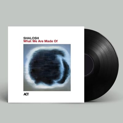 What We Are Made Of - Shalosh [VINYL]